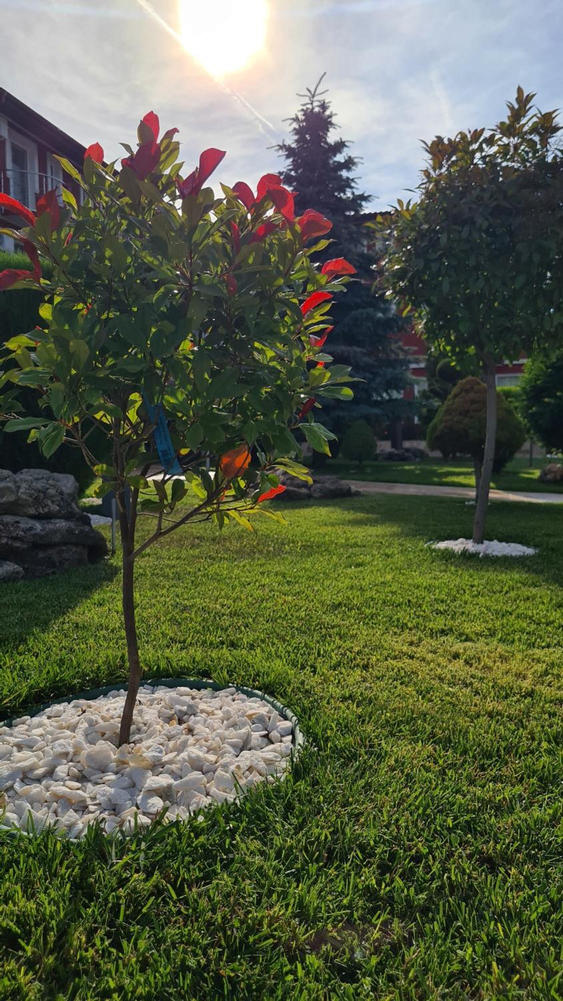Vila Diamond Saturn Exterior foto